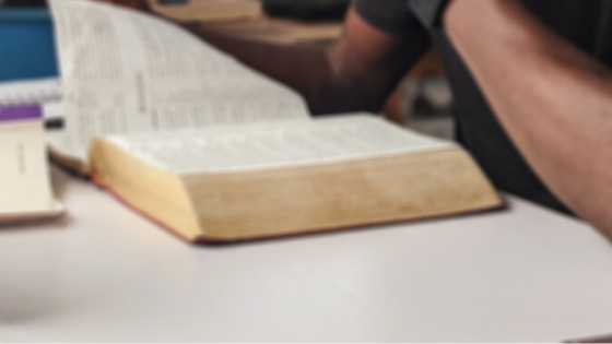 The Houses of Zabini