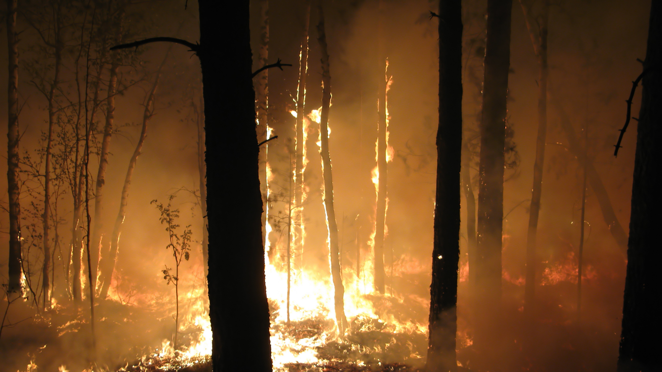 Greenwood Academy Part 6