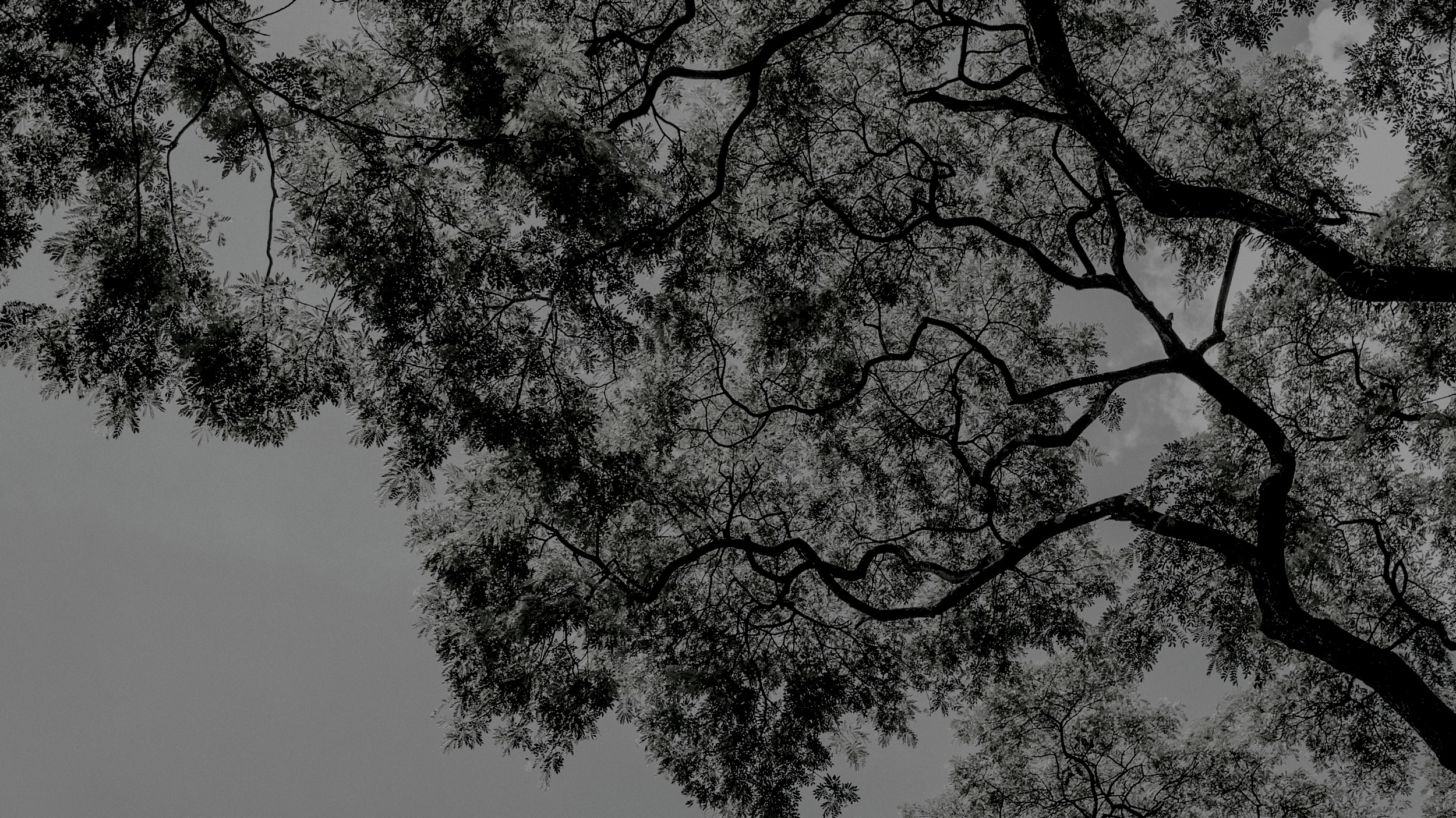 To All The Wizards: The Feelings