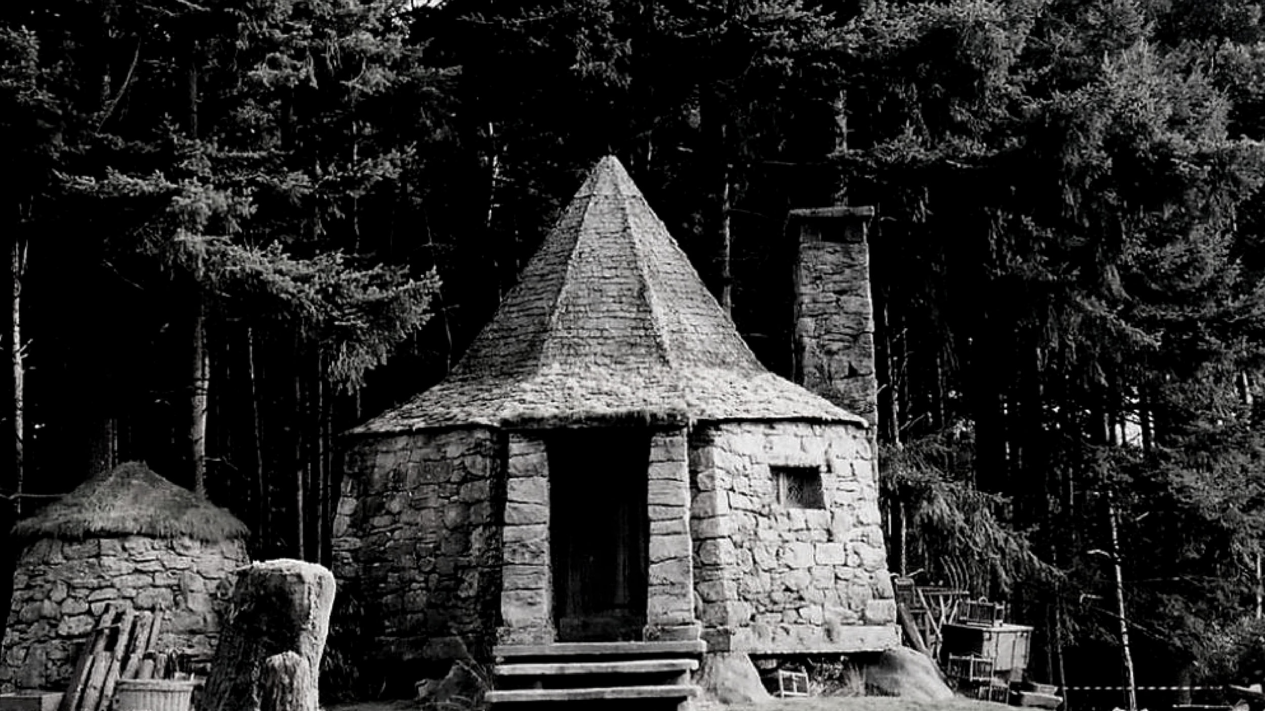 To All The Wizards: The Return