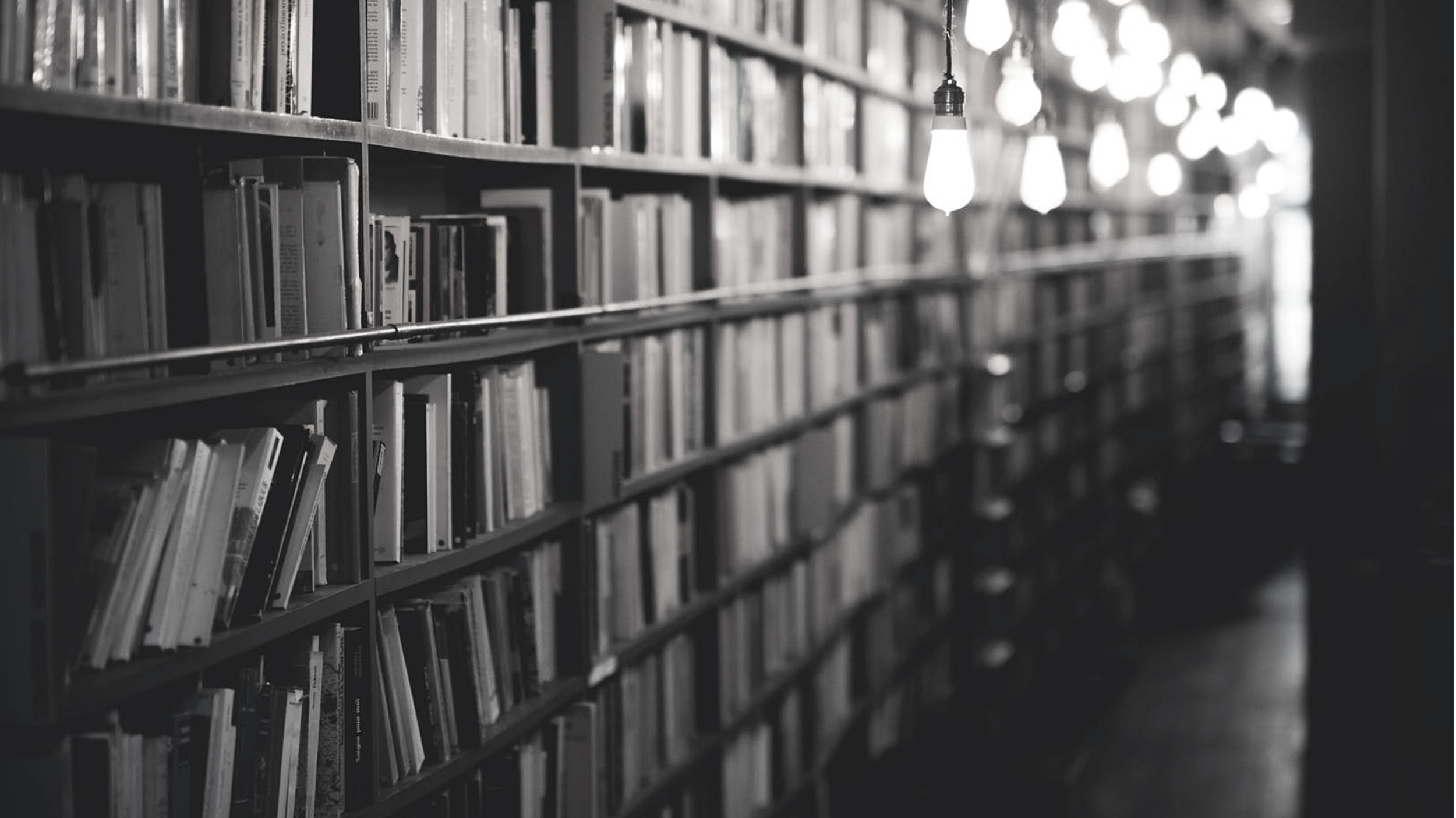 To All The Wizards: The Library