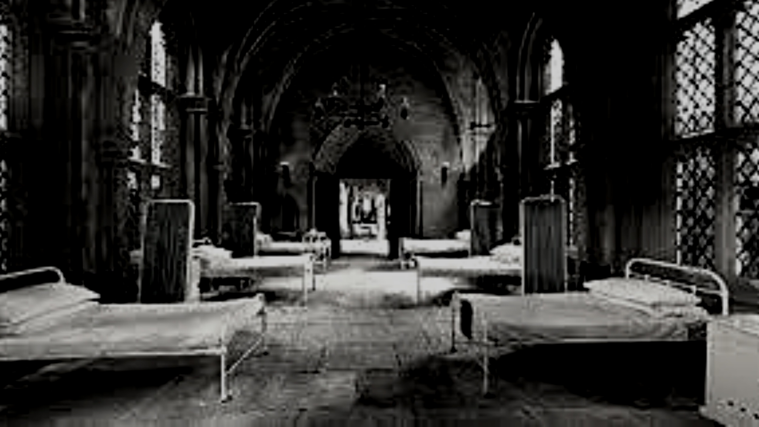 To All The Wizards: The Recovery