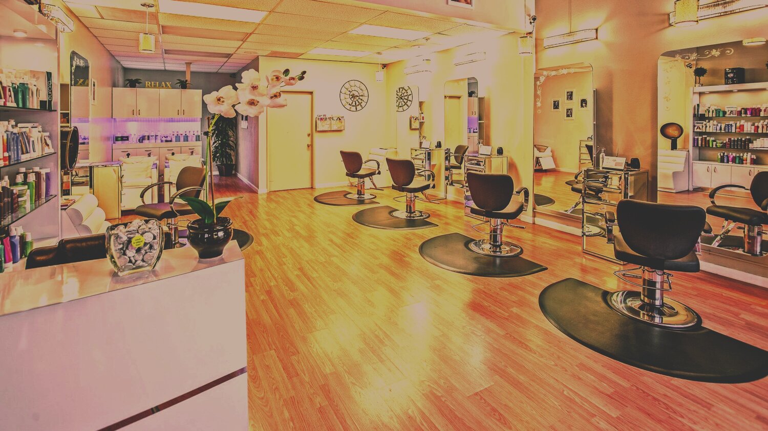 The Mane Thing About Nova